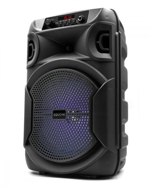 Głośnik Bluetooth 5.3 EDR PulseTower 1000W Funkcja Karaoke SQ1006 SQUEAK