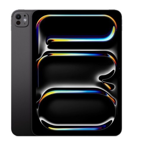 IPad Pro 11-calowy Wi-Fi 256 GB ze standardowym szkłem - Gwiezdna czerń Apple
