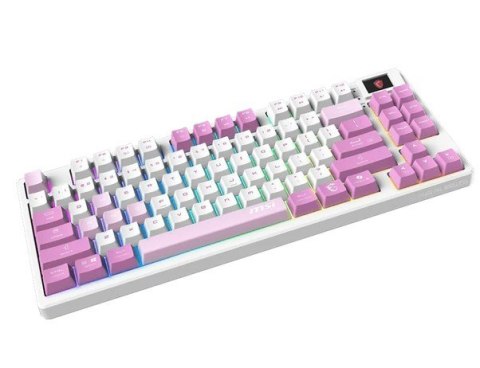 Klawiatura gamingowa Forge GK600 TKL W Violet US MSI