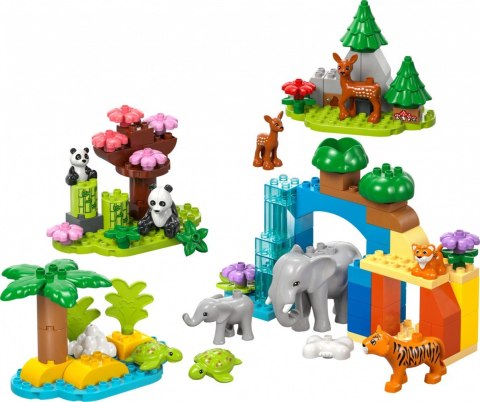 Klocki DUPLO 10446 Rodziny dzikich zwierząt 3 w 1 LEGO