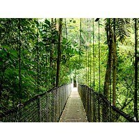 Komputer ProDesk 4 Tower G1i Desktop AI PC U5-225 512/16/W11P 9H7U6ET HP Inc.