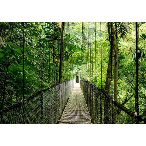 Komputer ProDesk 4 Tower G1i Desktop AI PC U5-225 512/16/W11P 9H7U6ET HP Inc.