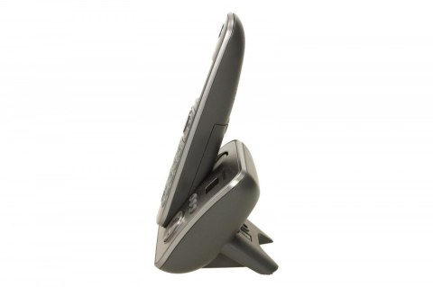 KX-TG6821 Dect/Grey Panasonic