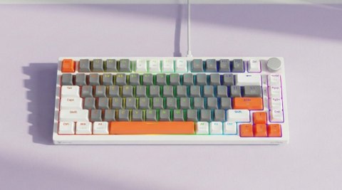 Klawiatura magnetyczna ASTRAL White OUTEMU White jade RGB 3 kolory keycapów Savio