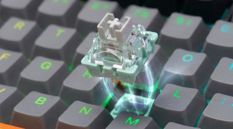 Klawiatura magnetyczna ASTRAL White OUTEMU White jade RGB 3 kolory keycapów Savio
