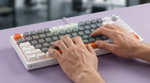 Klawiatura magnetyczna ASTRAL White OUTEMU White jade RGB 3 kolory keycapów Savio