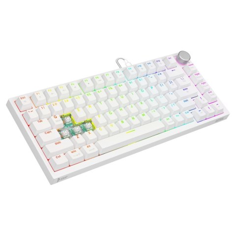 Klawiatura magnetyczna ASTRAL White OUTEMU White jade RGB Savio