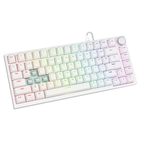 Klawiatura magnetyczna ASTRAL White OUTEMU White jade RGB Savio