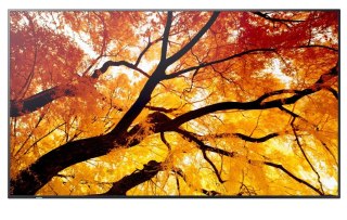 Monitor wielkoformatowy MultiSync M502 50 cali 550cd/m2 24/7 Sharp