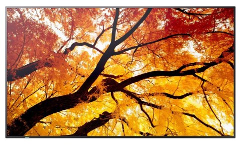 Monitor wielkoformatowy MultiSync M502 50 cali 550cd/m2 24/7 Sharp