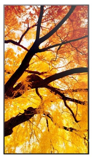 Monitor wielkoformatowy MultiSync M502 50 cali 550cd/m2 24/7 Sharp