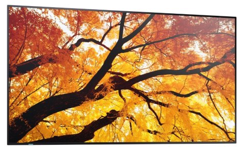 Monitor wielkoformatowy MultiSync M502 50 cali 550cd/m2 24/7 Sharp