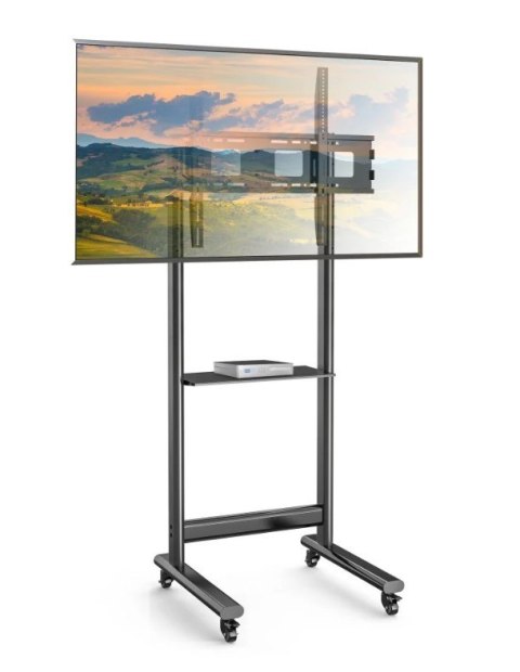 Stojak mobilny 50-90 cali 70kg z półką AV Techly