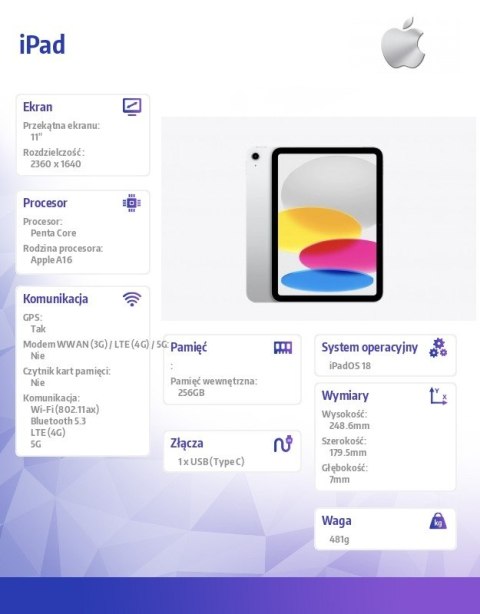 IPad WiFi + Cellular 11 cali 256 GB Srebrny Apple