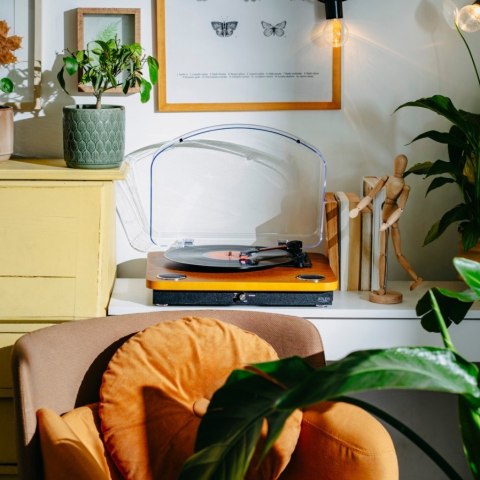 Gramofon AD1914 Wood USB Bluetooth Adler