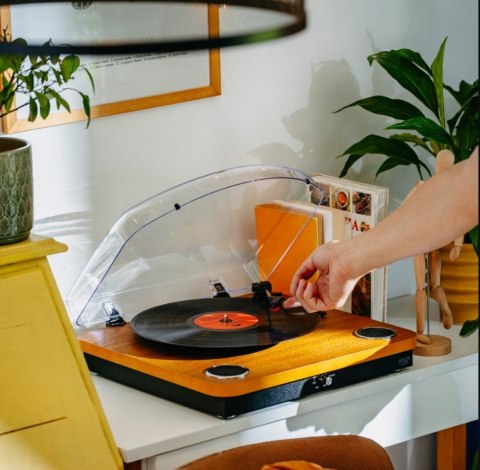 Gramofon AD1914 Wood USB Bluetooth Adler