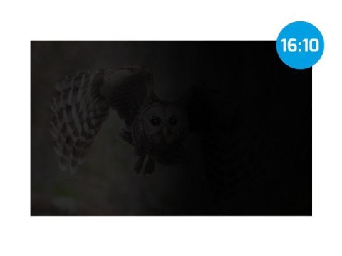Filtr prywatyzujący RODO Owl 16 cali 16:10 Natec