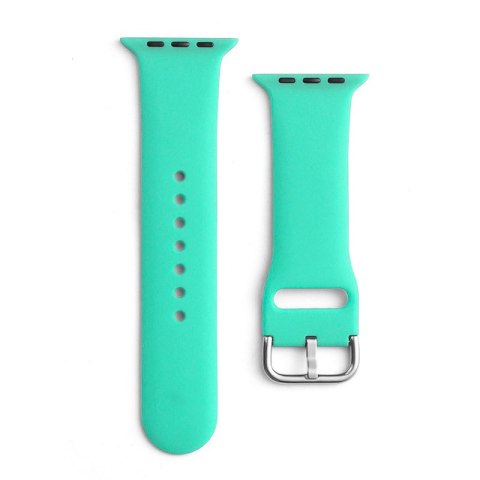 Silikonowy pasek do zegarka Apple Watch Ultra 2-9/SE 42/44/45/49mm Silicone Strap APS miętowy HURTEL