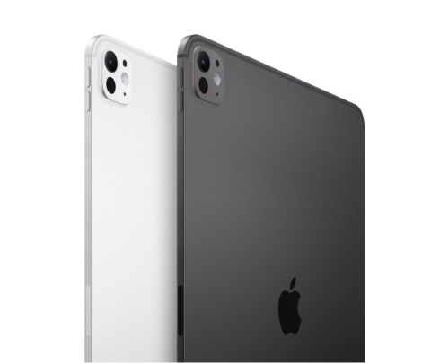 IPad Pro 11-calowy Wi-Fi + Cellular 256 GB ze standardowym szkłem - Srebrny Apple