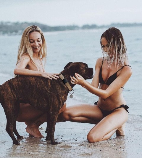 Etui na lokalizator Apple AirTag silikonowe na obrożę psa lub kota - czarne HURTEL