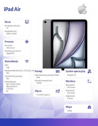 IPad Air 11 cali WiFi + Cellular 512GB Szary Apple