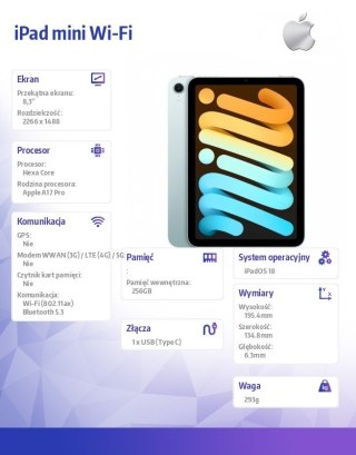 IPad mini Wi-Fi 256GB Niebieski Apple