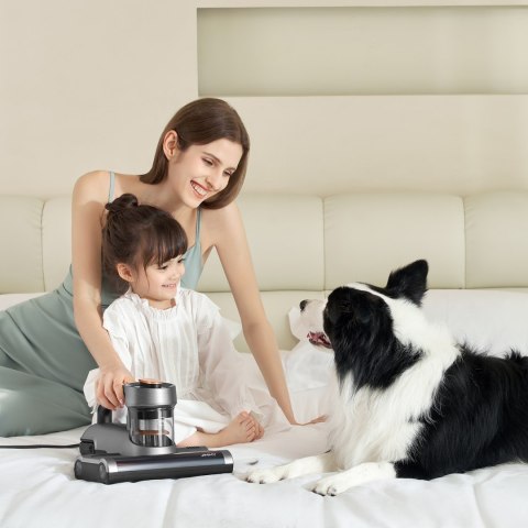 Odkurzacz do materacy dla alergików sterylizacja roztoczy UV i ultradźwięki JIMMY BX7 600W - srebrny szary JIMMY