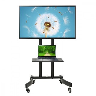 Profesjonalny stand wózek do telewizora na kółkach MC-739 max 40kg max 32-65'' Maclean