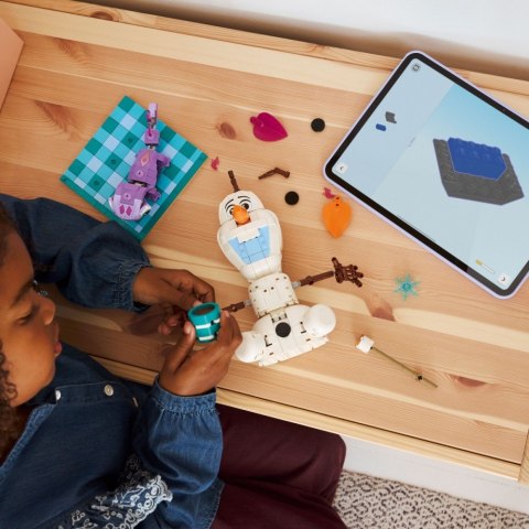 Klocki Disney 43287 Piknik Olafa i Bruniego LEGO