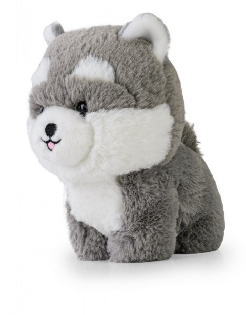 Maskotka TEDDY PETS Husky Daffi