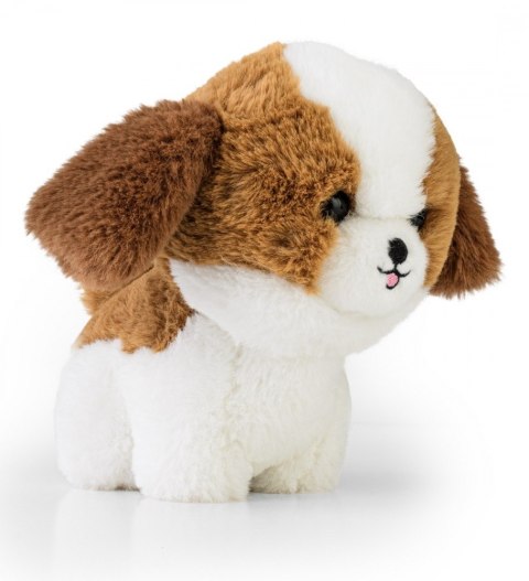 Maskotka TEDDY PETS Shih Tzu Daffi