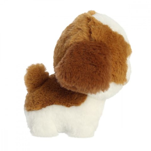 Maskotka TEDDY PETS Shih Tzu Daffi