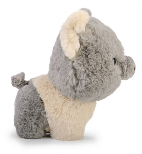 Maskotka TEDDY PETS Świnka szara Daffi