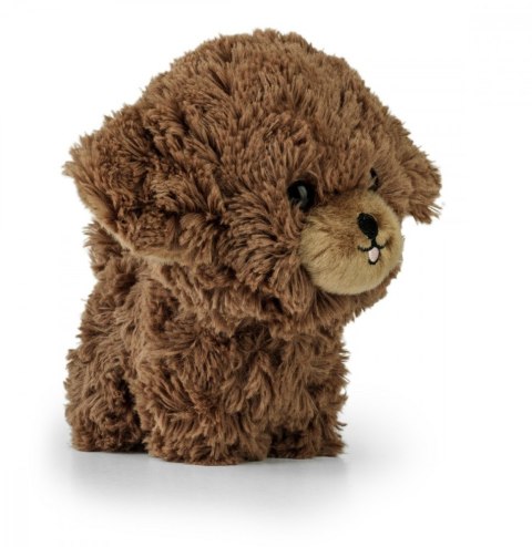 Maskotka TEDDY PETS Szczenię pudla Daffi