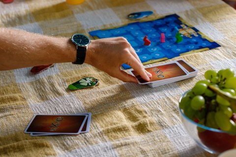 Gra Dixit (2024) Rebel