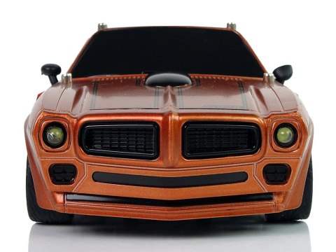 Auto Sportowe R/C 1:18 Brązowe Champion Pilot LEAN Toys