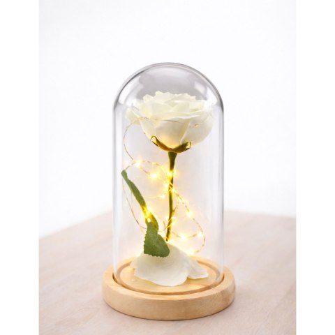 Wieczna Róża W Szkle Kopuła Oświetlenie LED Biała 21x11cm LEAN
