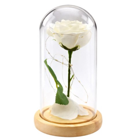 Wieczna Róża W Szkle Kopuła Oświetlenie LED Biała 21x11cm LEAN