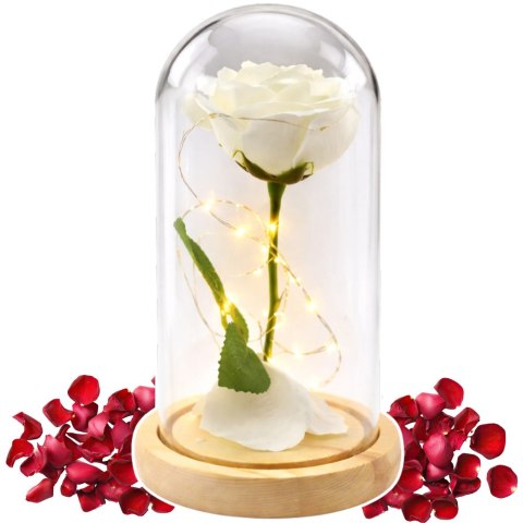 Wieczna Róża W Szkle Kopuła Oświetlenie LED Biała 21x11cm LEAN