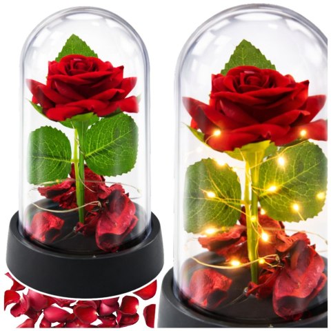 Wieczna Róża w Kopule z Oświetleniem LED Czerwona z Płatkami Róż 14x8cm LEAN