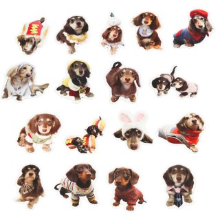 Zestaw Naklejki Z Pieskami Spaniel Papierowe Do Ozdabiania 50 szt. LEAN