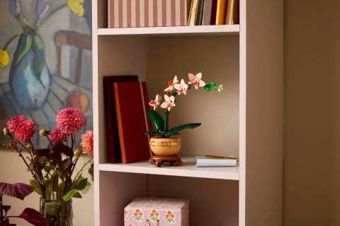 LEGO Botanical Collection 10343 - Mała orchidea