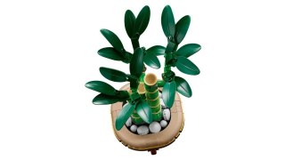 LEGO Botanical Collection 10344 - Dracena sandera