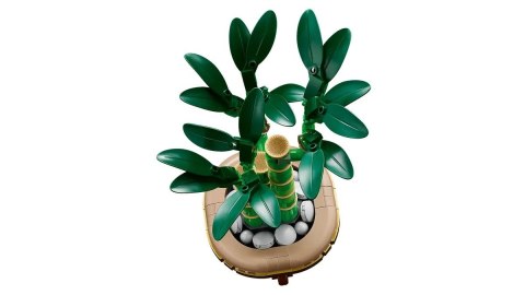 LEGO Botanical Collection 10344 - Dracena sandera