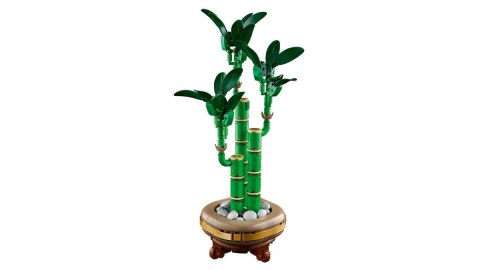LEGO Botanical Collection 10344 - Dracena sandera