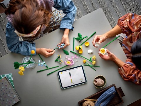 LEGO Botanical Collection 10347 - Mały bukiet żółtych kwiatów