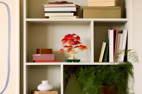 LEGO Botanical Collection 10348 - Klon palmowy Bonsai