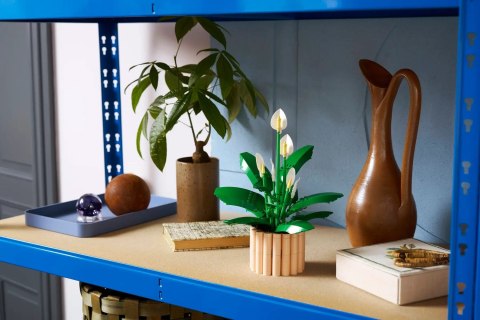 LEGO Botanical Collection 11504 - Skrzydłokwiat