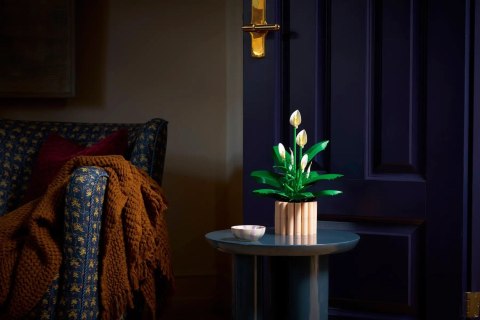 LEGO Botanical Collection 11504 - Skrzydłokwiat