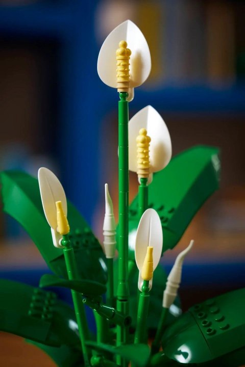LEGO Botanical Collection 11504 - Skrzydłokwiat